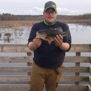 Meet your Posher, Greg